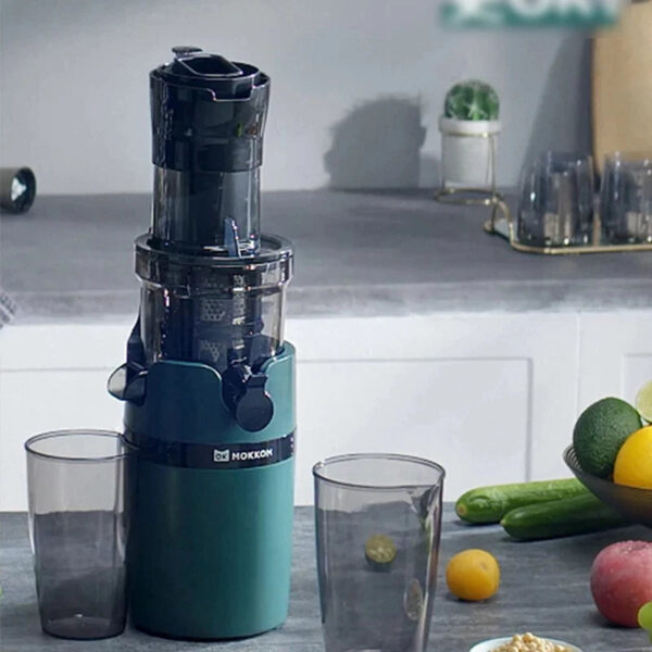 Large Caliber Slow Juicer Screw Cold Press Extractor Slag Juice Separation Filter-Free Easy Wash Electric Fruit Juicer Machine - Image 7